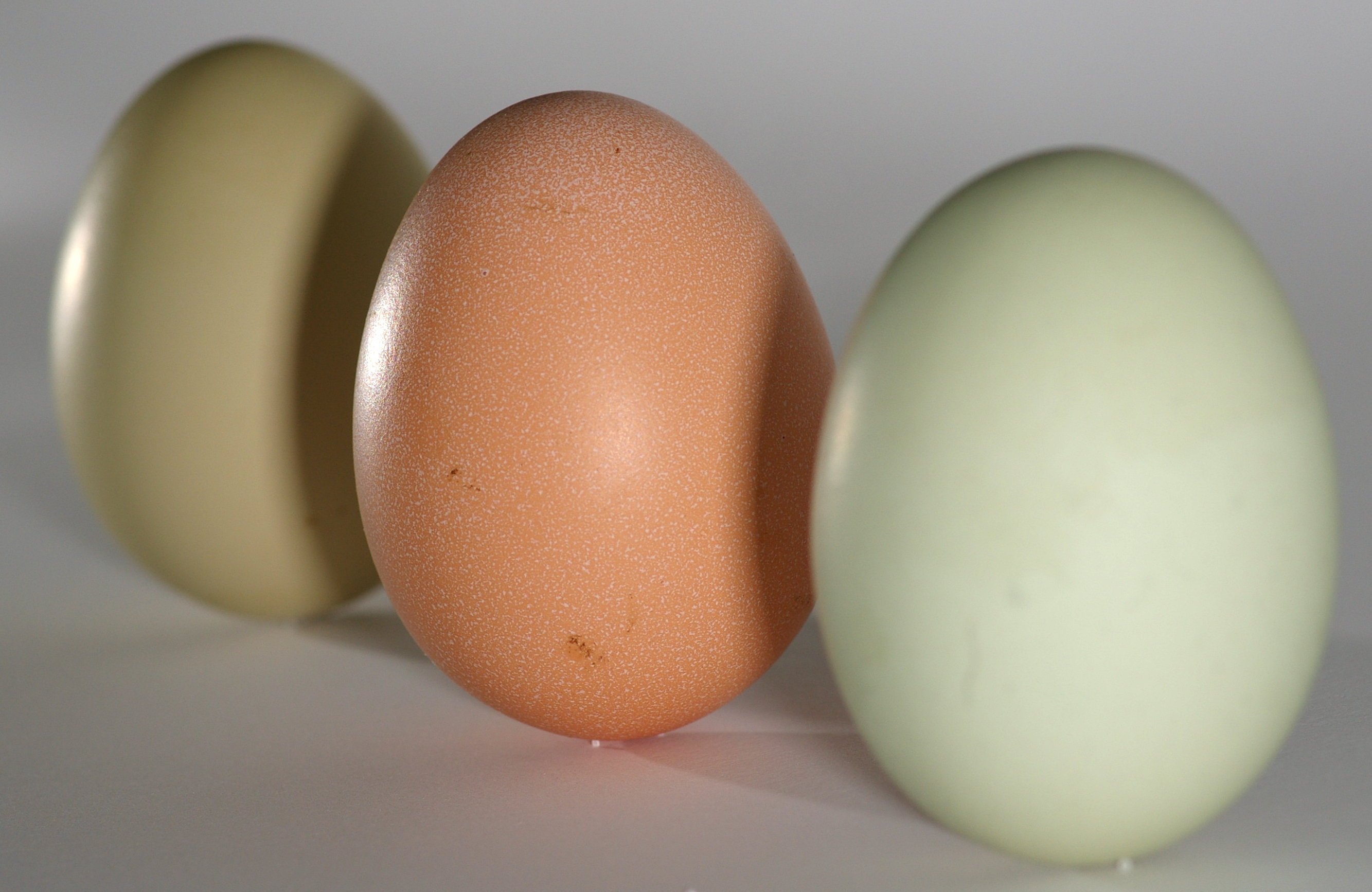 Huevos verde oliva y marrón sobre encimera