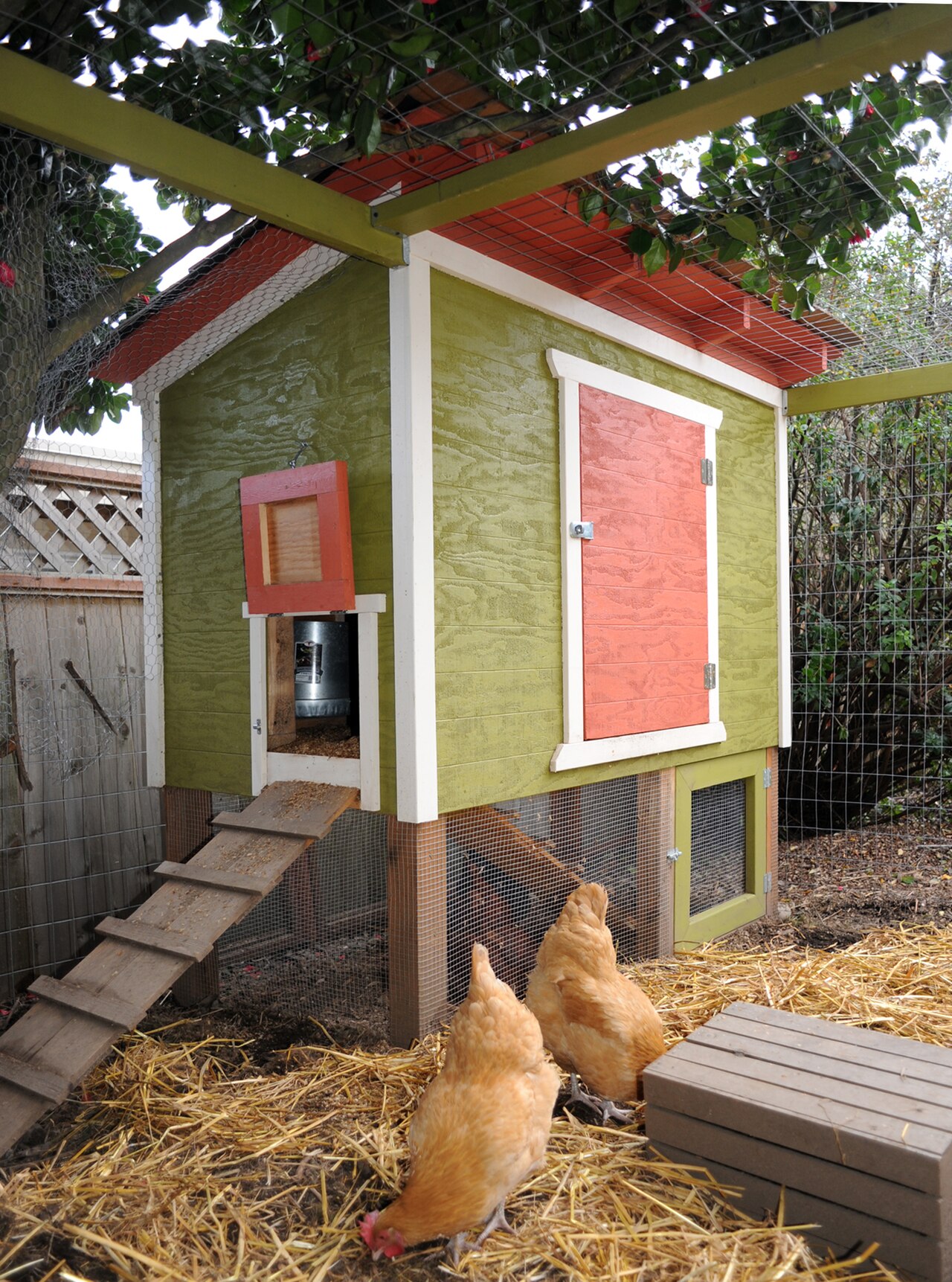 Gallinero y dos gallinas